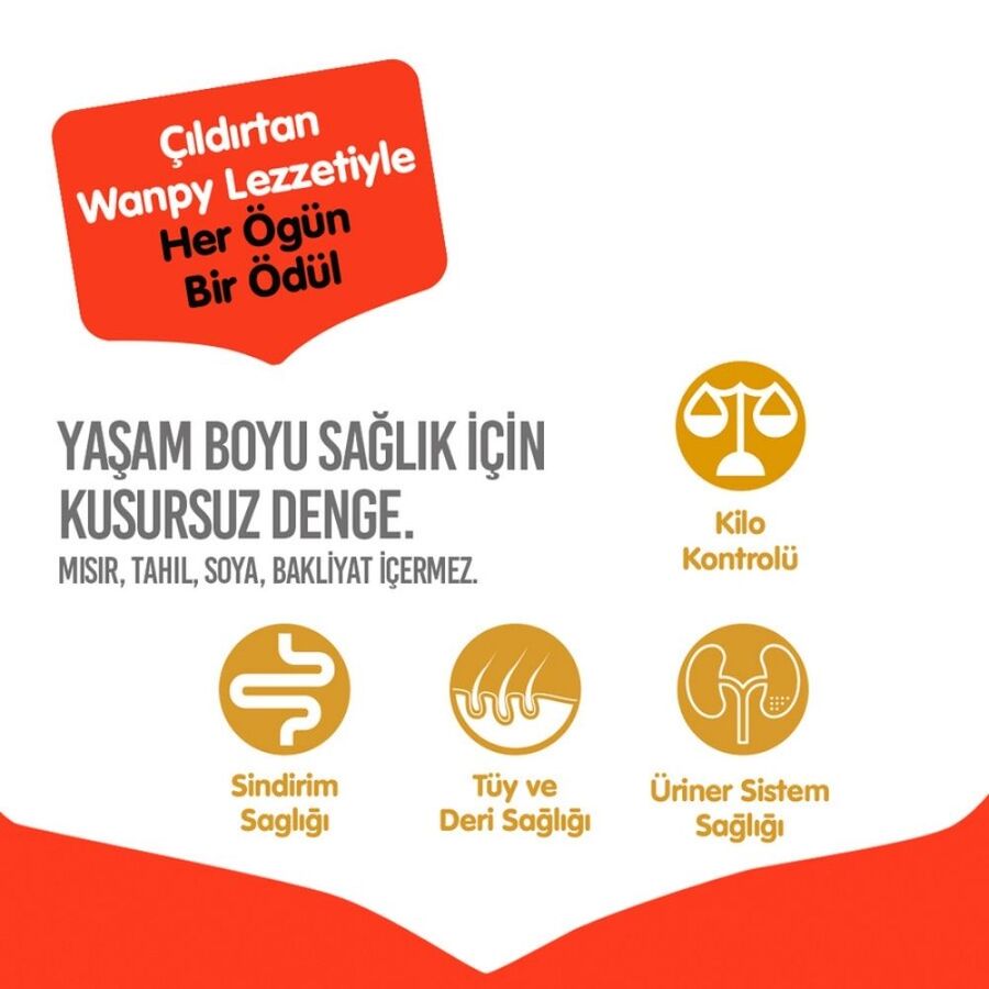 Wanpy Tahılsız Somonlu Yetişkin Kedi Maması 1,5 kg