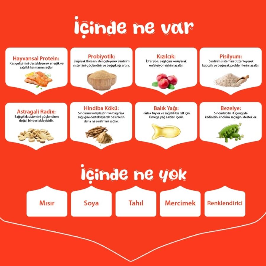 Wanpy Tahılsız Somonlu Yetişkin Kedi Maması 8kg