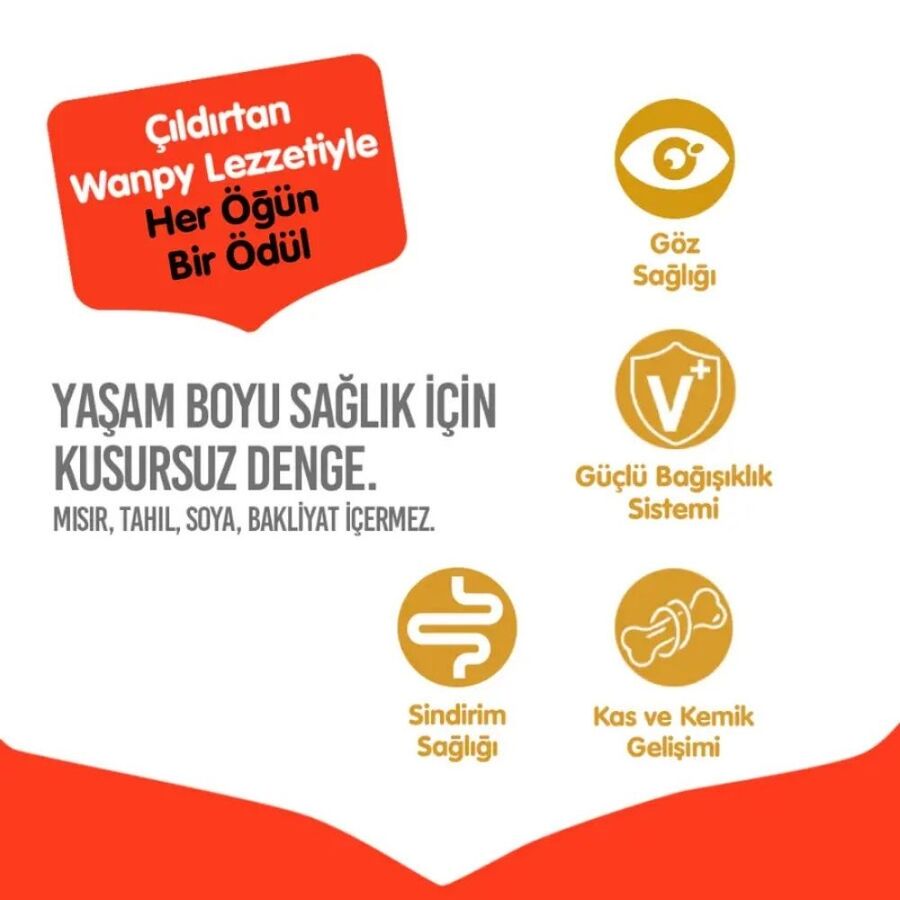 Wanpy Tahılsız Tavuklu Yetişkin Kedi Maması 8kg