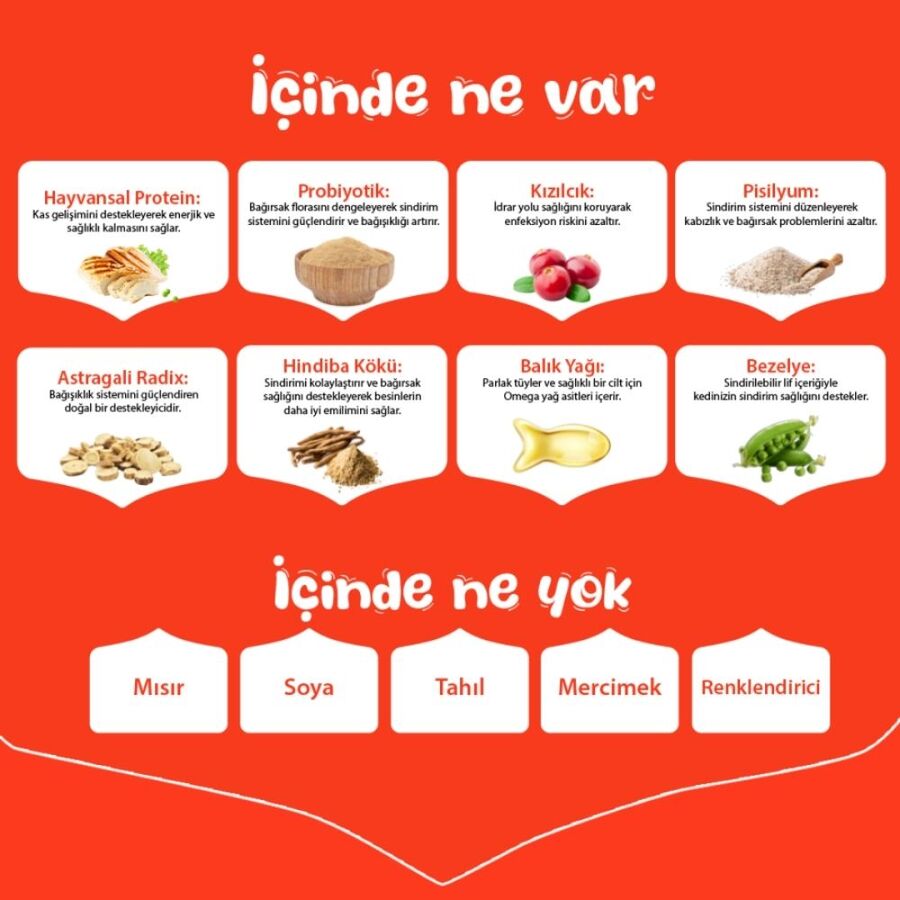 Wanpy Tahılsız Tavuklu Yetişkin Kedi Maması 8kg