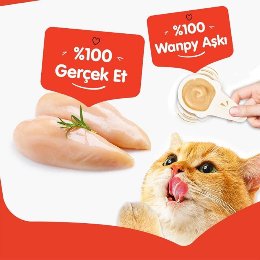 Wanpy Tavuklu Kaşıklı Kedi Ödül Kreması 10x16gr