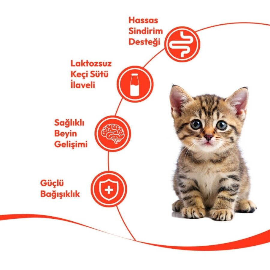 Wanpy Tavuklu ve Morinalı Yavru Kedi Krema Ödülü 5×14gr