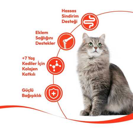 Wanpy Ton Balıklı 7+ Yaş Kedi Krema Ödülü 5×14gr - Thumbnail