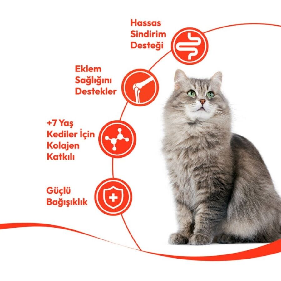 Wanpy Ton Balıklı 7+ Yaş Kedi Krema Ödülü 5×14gr