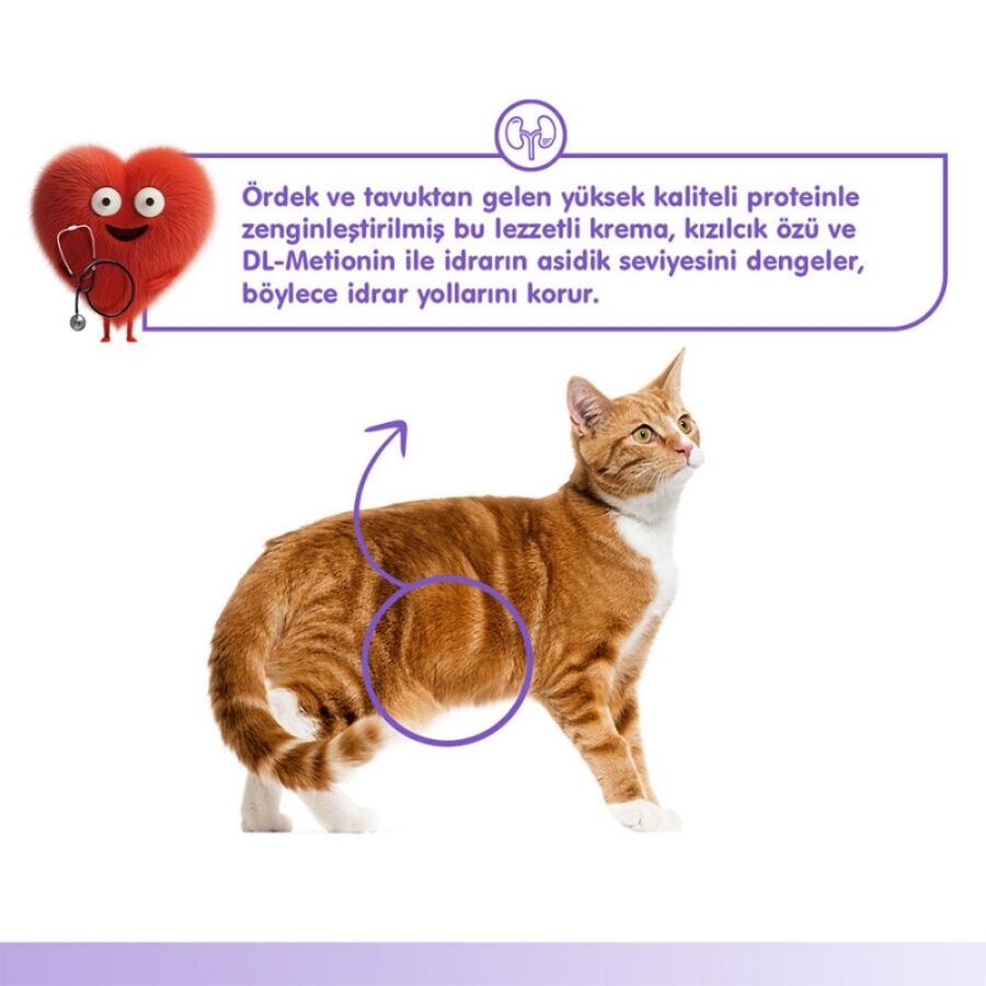 Wanpy Urinary Care Ördekli ve Tavuklu Krema Kedi Ödülü 5x14 Gr